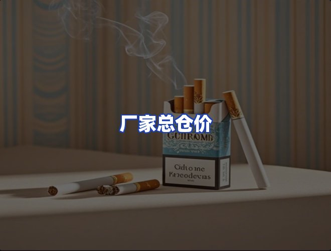 专业团队